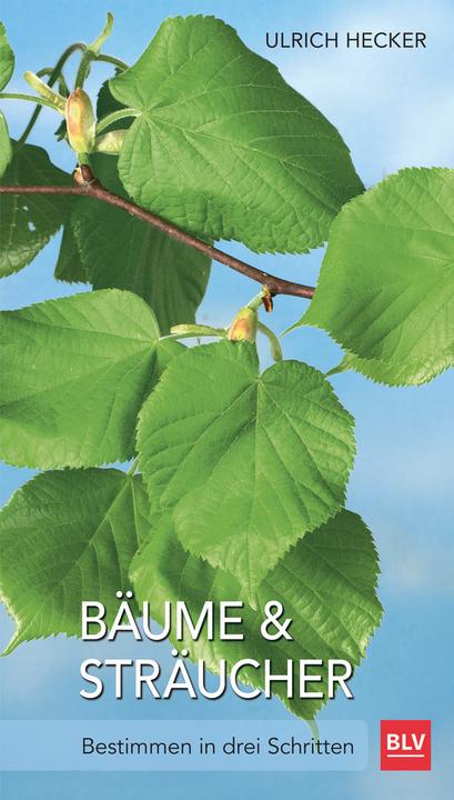 Produktbild Bäume und Sträucher (Deutsch, Ulrich Hecker, 2016)