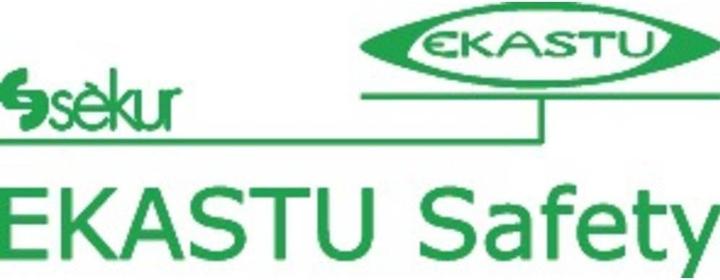 Produktbild Ekastu Sekur Feinstaubmaske (FFP2, 5x)