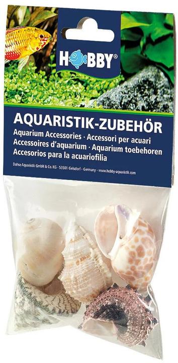 Image du produit Hobby Ensemble de coquillages (Décoration, autres éléments)