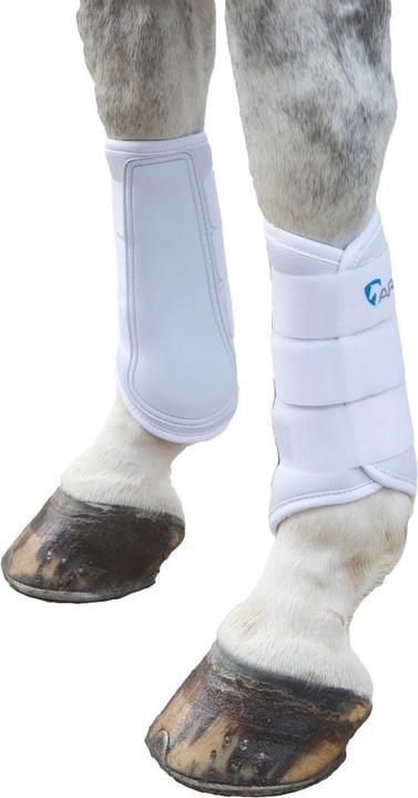 Produktbild Arma PferdeGamaschen Neopren
