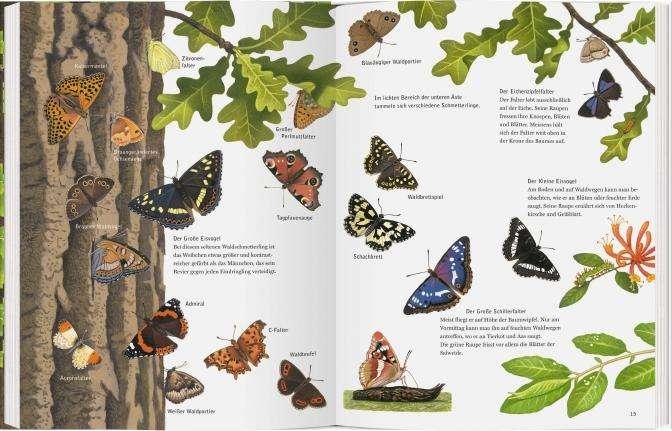 Produktbild Die wunderbare Welt der Eiche (Deutsch, Thomas Müller, 2020)