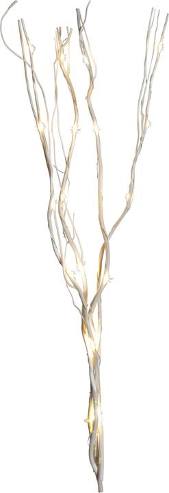 Natura