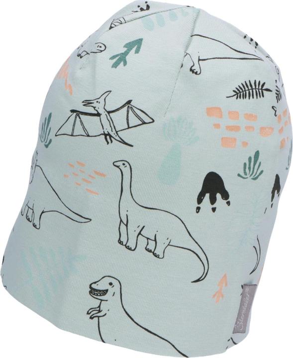 Actual product image Sterntaler Kids Transitional Cap Dinosaur (45)