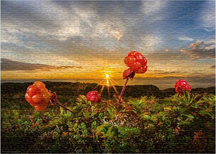 Immagine prodotto Heye Cloudbeeries Standard (1000 pezzi)