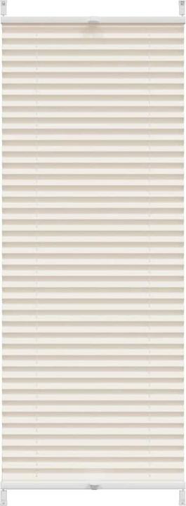 Image du produit vidaXL Rollos (50 x 150 cm)