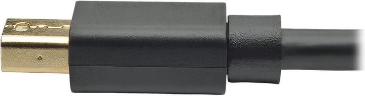 Actual product image Eaton Mini DisplayPort to DisplayPort Adapter Cable M/M 4K 60Hz Black 6ft. 1.8m (1.83 m, DisplayPort)