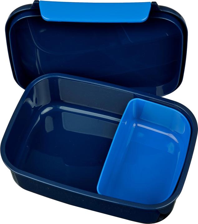 Actual product image Scooli Lunchbox Jurassic World Blue