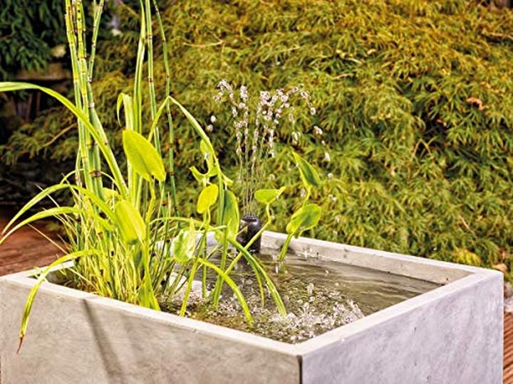 Actual product image Oase UVC 1500