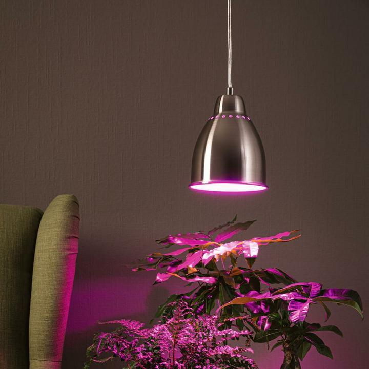 Immagine prodotto Paulmann Luci Hilla (E27)