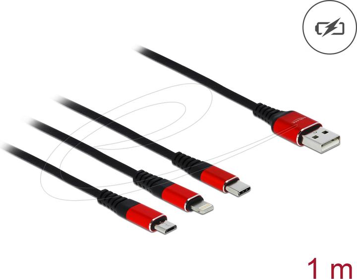 Actual product image Delock 3in1 (1 m, USB 2.0, 5 W)