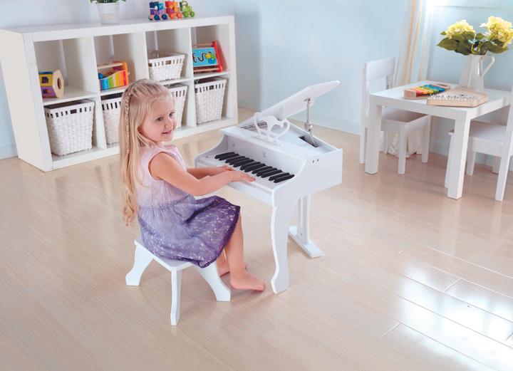 Actual product image Hape Luxury wings