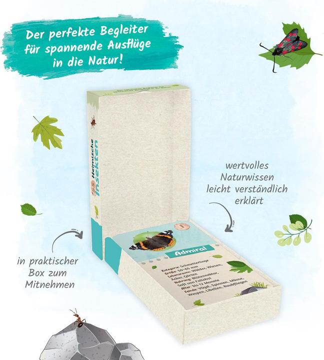 Actual product image 55 flashcards native insects