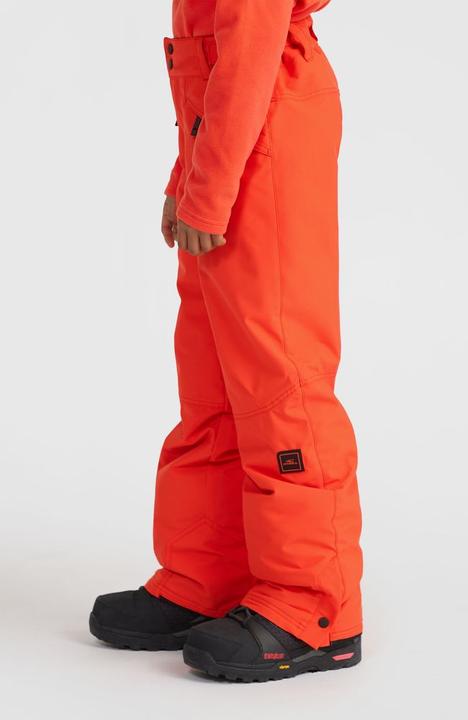 Actual product image O'Neill Hammer Snow Pants (176)