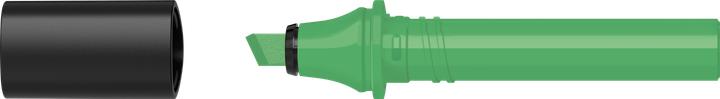 Chlorophyll