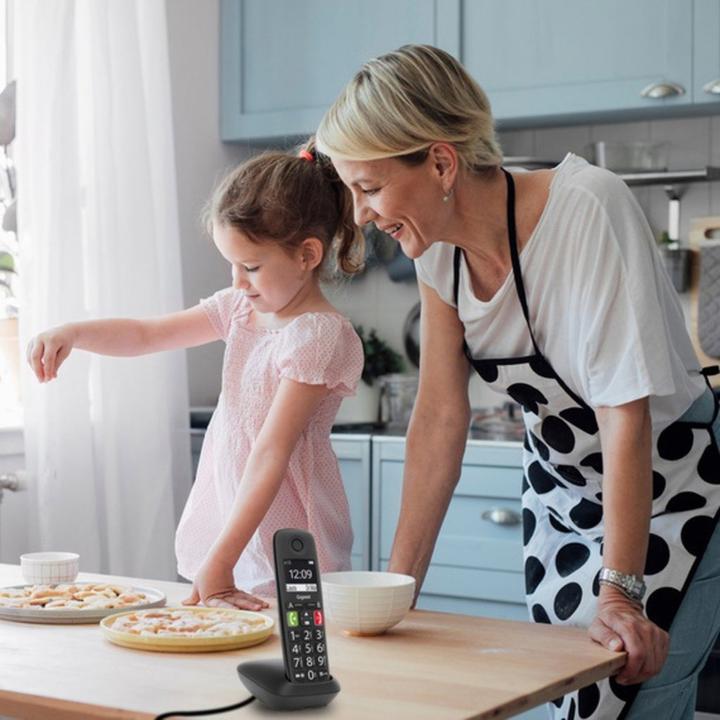 Image du produit Gigaset E290R - gros boutons - noir