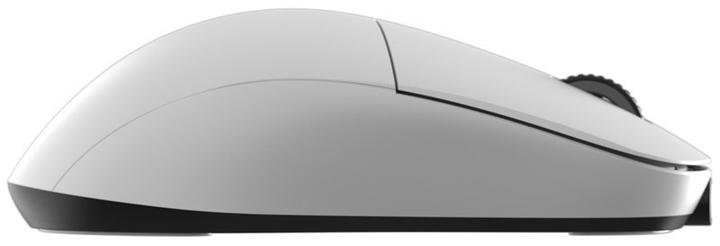 Actual product image Endgame Gear XM2we (Wireless, Cable)