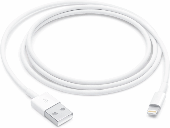 Ferryxpress USB A — Lightning (1 m)