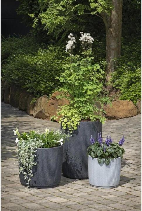 Image du produit Scheurich Linetto High 54 (38.60 x 53.90 cm)