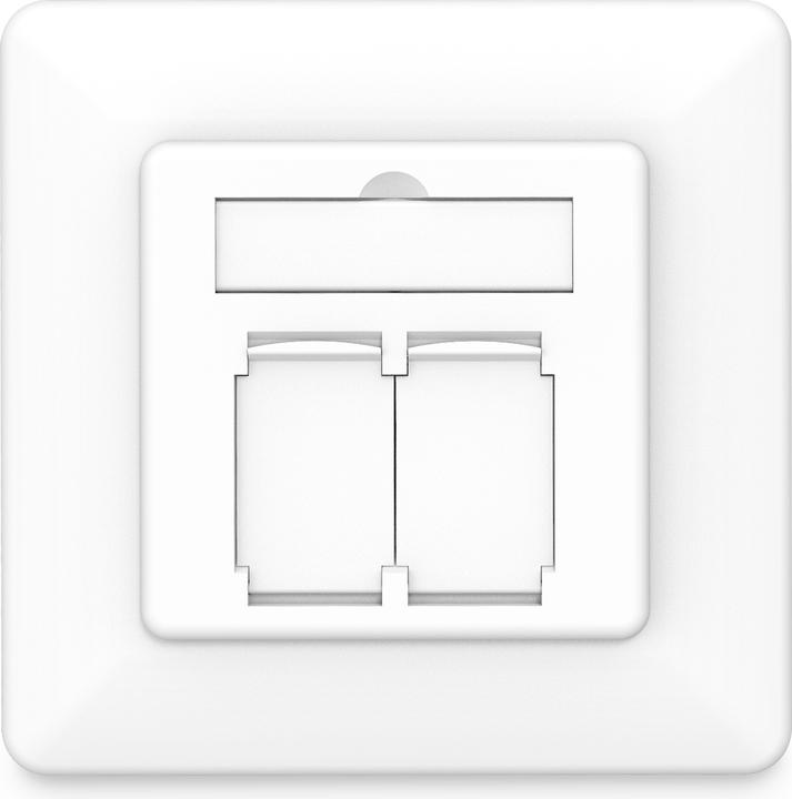 Actual product image Digitus Network socket