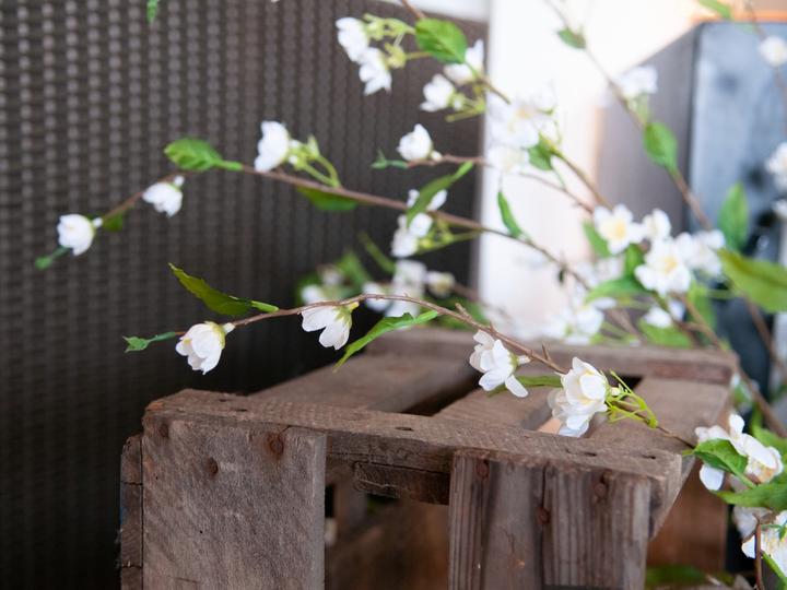 Produktbild Europalms Kirschzweig, künstlich, weiss, 60cm (60 cm)