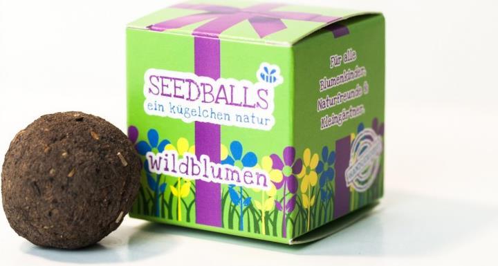 Produktbild Die Stadtgärtner Wildblumen im Würfel (Keimlinge)