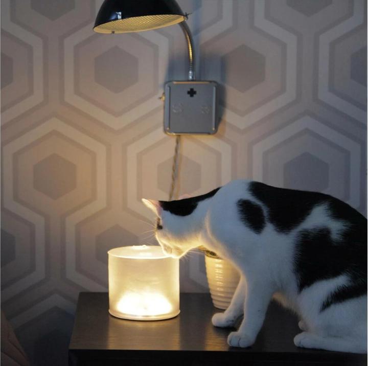 Actual product image Luci Lux