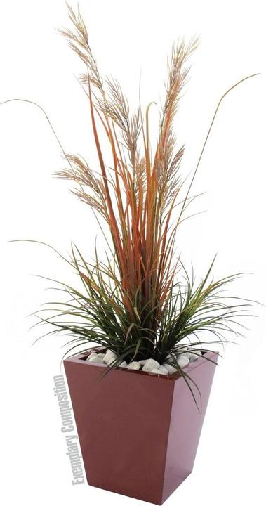 Productafbeelding Europalms LEICHTSIN BASIC-50, rood, glanzend