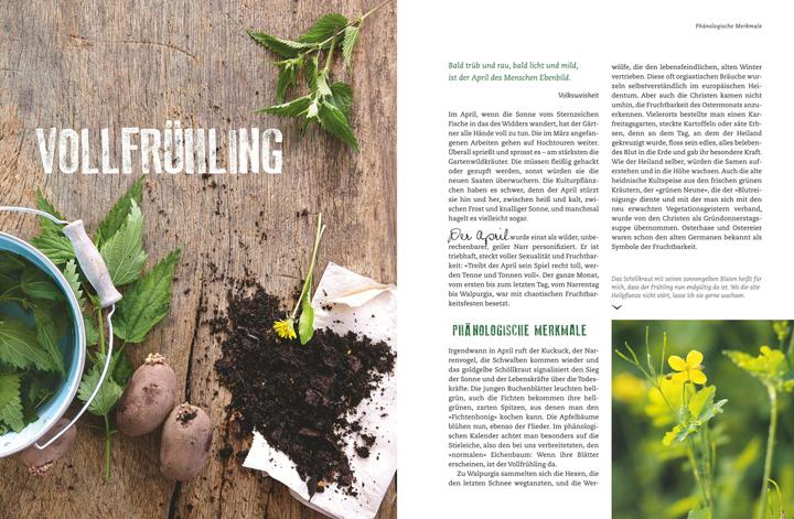 Produktbild Der Selbstversorger: Mein Gartenjahr (Deutsch, Wolf-Dieter Storl, 2016)