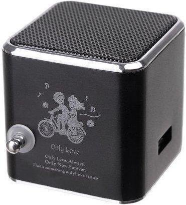 Image du produit Roger Haut-parleur sans fil Bluetooth avec radio FM (7 h)