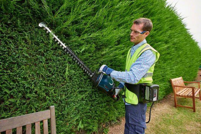 Image du produit Bosch Professional Ghe 60 T (Taille-haies sans fil)