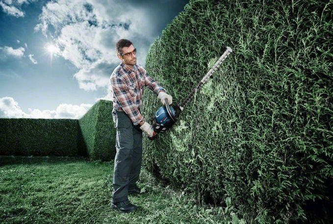 Image du produit Bosch Professional Ghe 60 T (Taille-haies sans fil)
