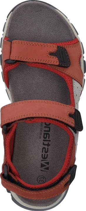 Actual product image Westland 25802-TE508 (38)