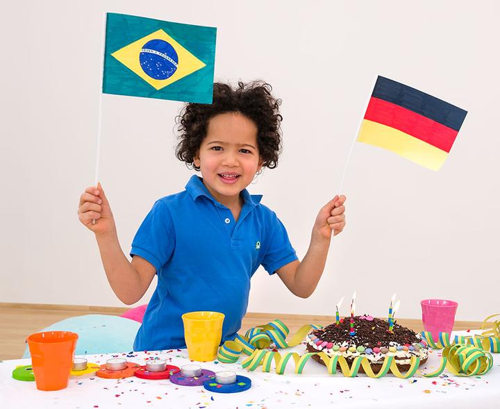 Image du produit Folia Drapeau sur canne, rectangle