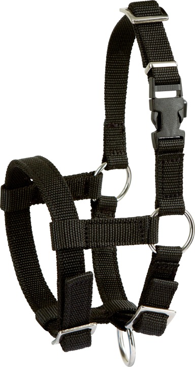 Actual product image Kerbl Alpaca halter