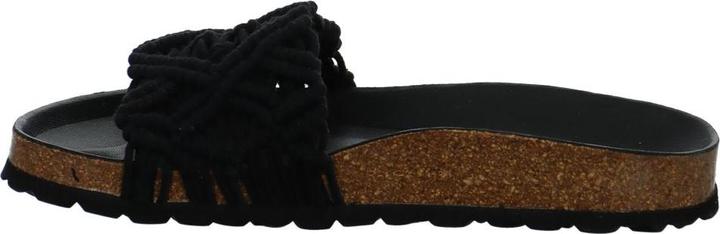 Actual product image Verbenas Raga (40)