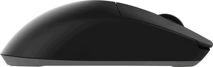 Produktbild Dark Project DPP Novus BG (Kabelgebunden, Kabellos)