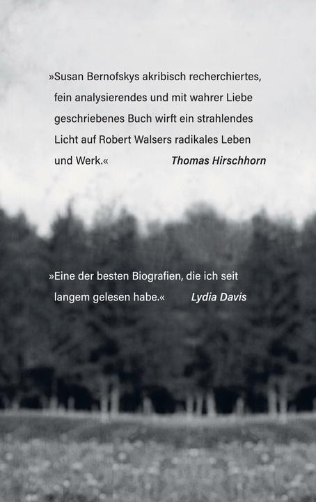 Actual product image »Hellseher im Kleinen« (German, Susan Bernofsky, 2025)