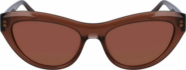 Image du produit Salvatore Ferragamo Ladies' Sunglasses SF1103S-5517232 Ã˜ 55 mm