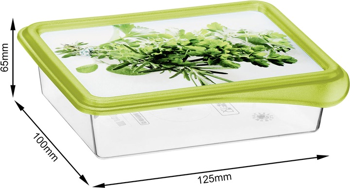 Actual product image Rotho Rondo (0.20 l)