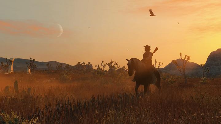 Immagine prodotto Rockstar Red Dead Redemption (Code in a Box) (Switch)