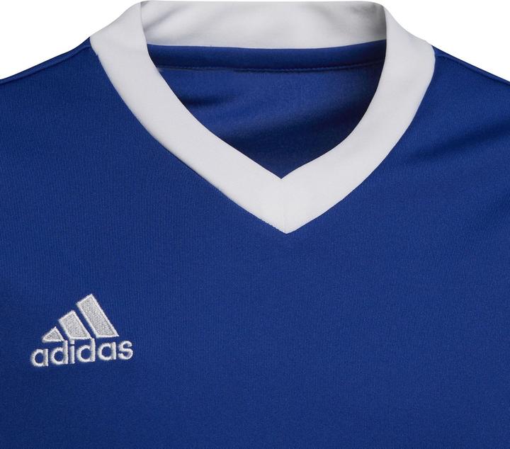 Produktbild adidas Entrada 22 Trikot (164)
