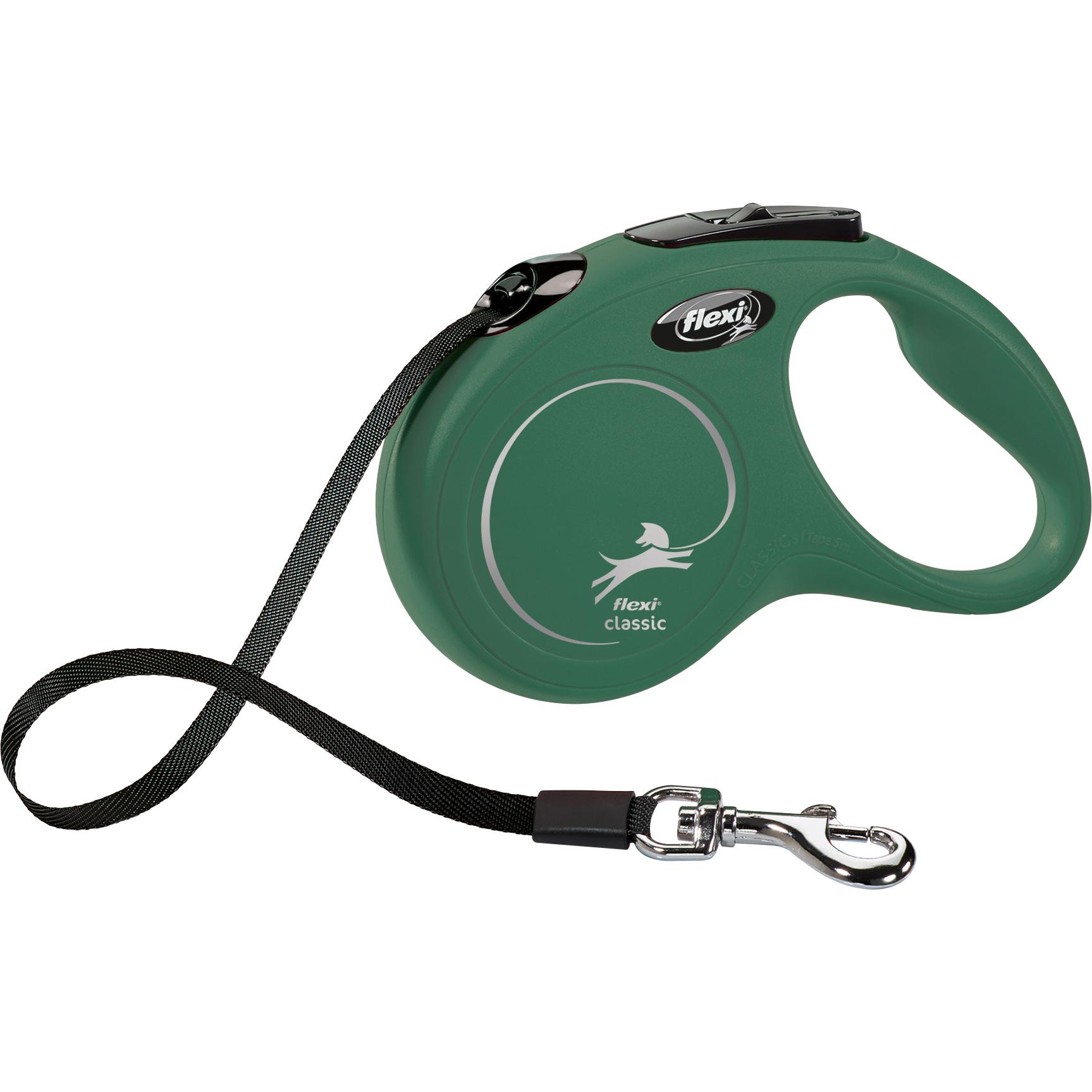 Meilleurs prix pour Laisse pour Chien Flexi Vert S