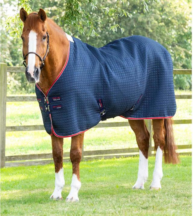 Immagine prodotto Premier Equine Dry-Tech (213 cm)