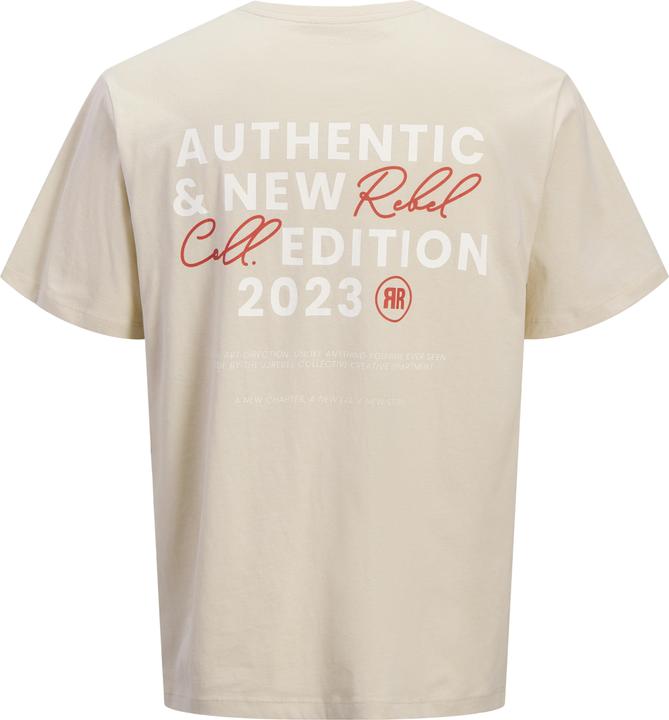 Produktbild Jack & Jones Jrebhayden Ss Tee Sn (M)