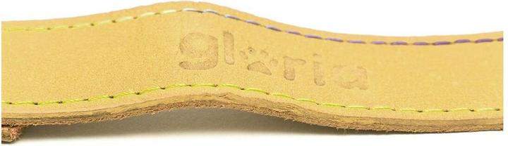 Produktbild Gloria Hundeleine Oasis 3 x 60 cm Gelb (Hund, Hundesport)