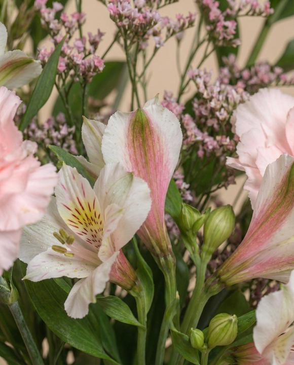 Image du produit feey Câlin de luxe (Fleurs coupées, 20x)