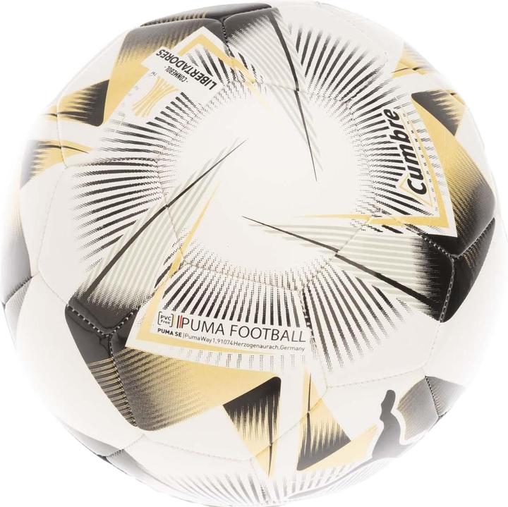Immagine prodotto Puma Cumbre Conmebol Libertadores Pallone