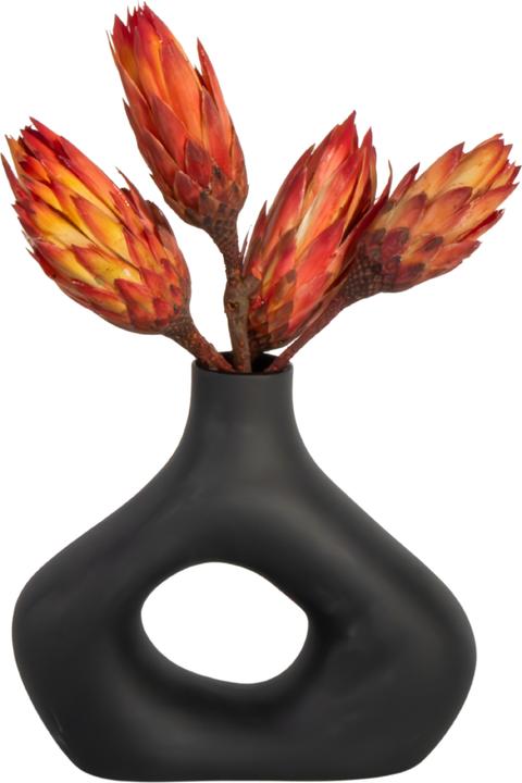 Produktbild Plant in a Box - (30 cm)