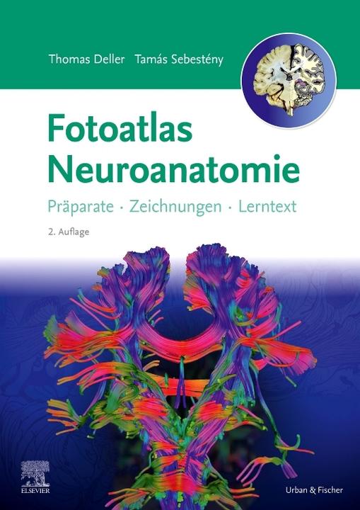 Image du produit Fotoatlas Neuroanatomie (Allemand, Katrin Eichler, Stéphanie Tritt, Tamás Sebestény, Thomas Deller, 2024)