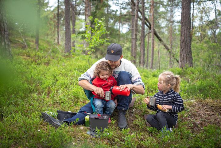 Actual product image Primus 4-Season 0.3 L